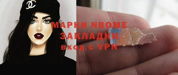 прущие грибы Волоколамск