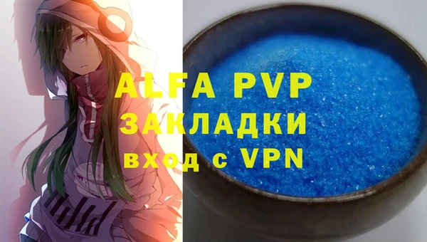 прущие грибы Волоколамск