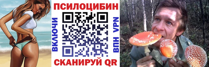 купить наркоту  Гусь-Хрустальный  mega ТОР  Галлюциногенные грибы MAGIC MUSHROOMS 