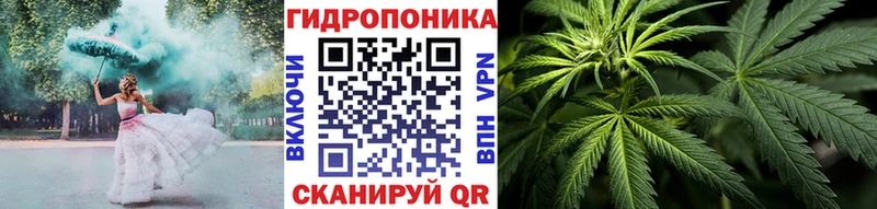 Шишки марихуана THC 21%  Гусь-Хрустальный 
